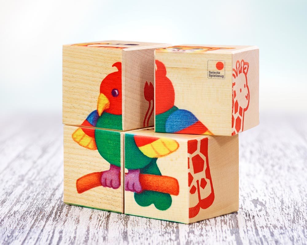 bois livre images cubes enfants de zoo enfants