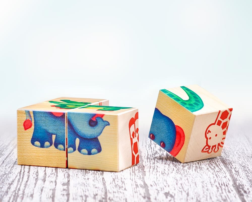 bois livre images cubes enfants de zoo enfants
