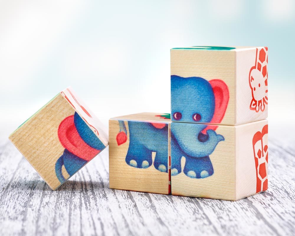bois livre images cubes enfants de zoo enfants