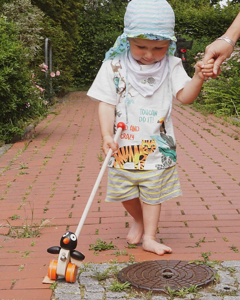 Pingo jouets en bois emotions